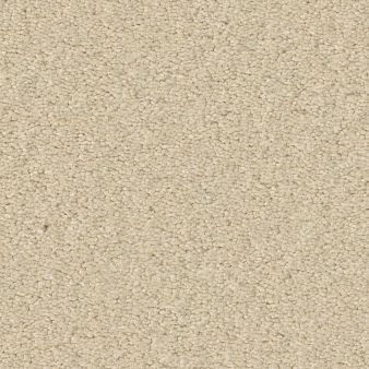 ULTIMATE EXPRESSION 15' color sample MUSHROOM 00101