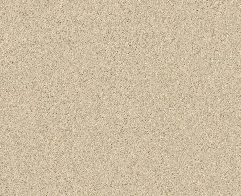 ULTIMATE EXPRESSION 15' Shaw carpet style 19829 available through Carpet Tech. Of Virginia