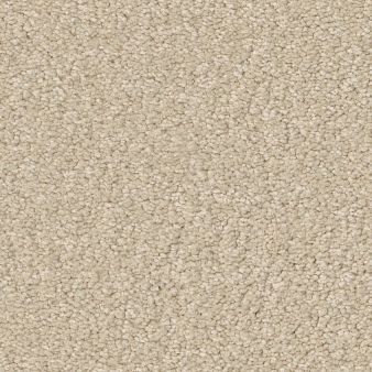 ULTIMATE EXPRESSION 15' color sample PUDDING 00102