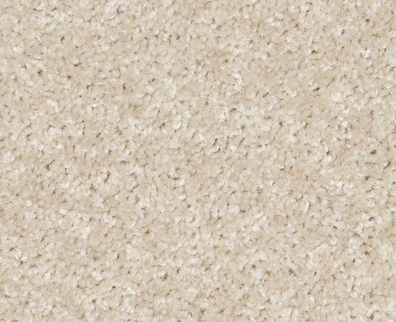 INSTANT WINNER Shaw carpet style 52E28 available through Carpet Tech. Of Virginia