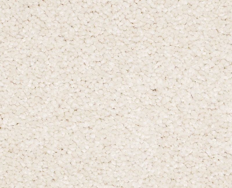 EVERYDAY COMFORT (S) Shaw carpet style 52P07 available through Carpet Tech. Of Virginia