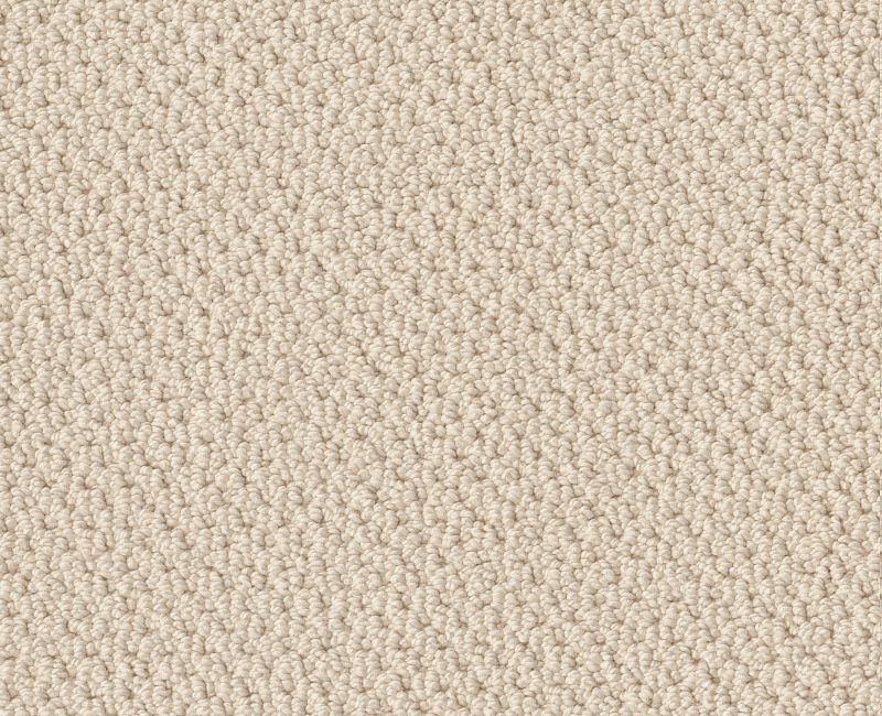 TRADITIONAL ELEGANCE Shaw carpet style 52P13 available through Carpet Tech. Of Virginia