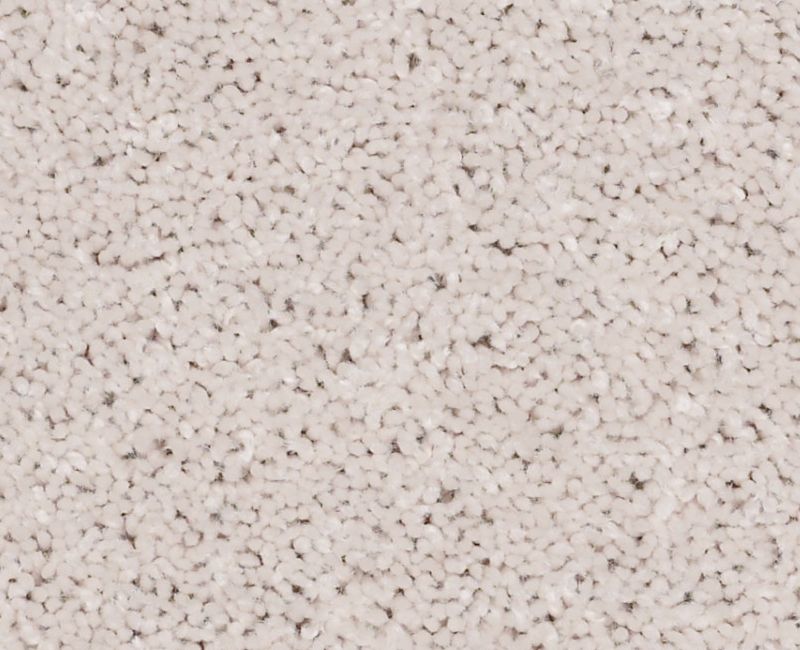 FULL COURT 15' Shaw carpet style 52Y82 available through Carpet Tech. Of Virginia