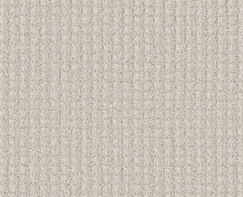 AERIAL ARTS Shaw carpet style 5E040 available through Carpet Tech. Of Virginia