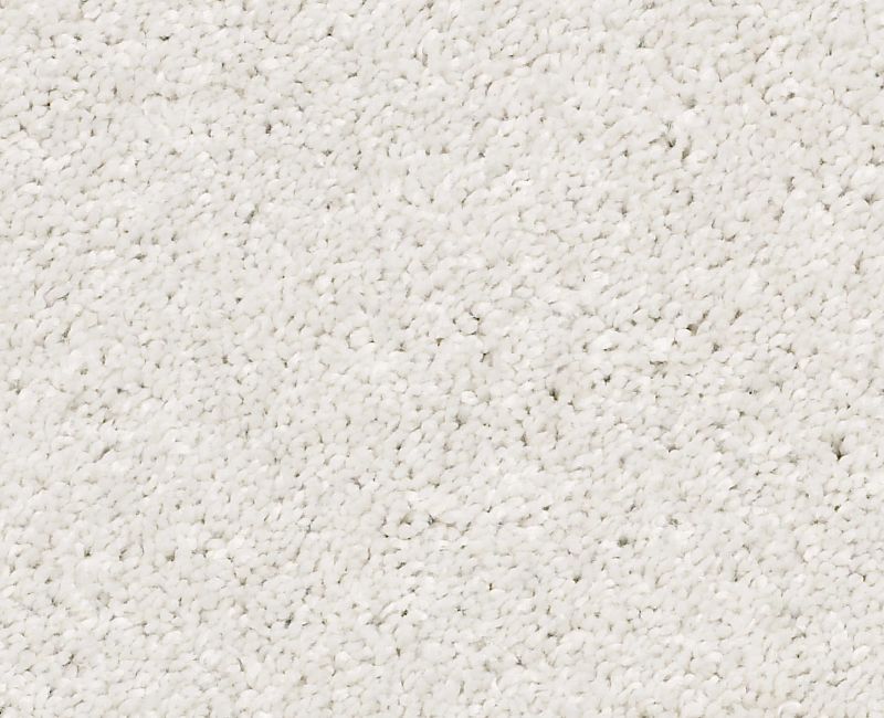 AFTER ALL I Shaw carpet style 5E044 available through Carpet Tech. Of Virginia