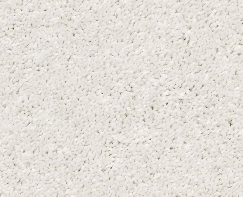 AFTER ALL II Shaw carpet style 5E045 available through Carpet Tech. Of Virginia