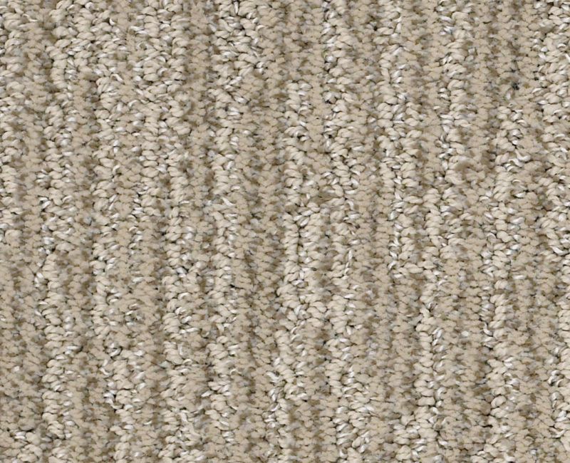 EASY FIT Shaw carpet style 5E254 available through Carpet Tech. Of Virginia