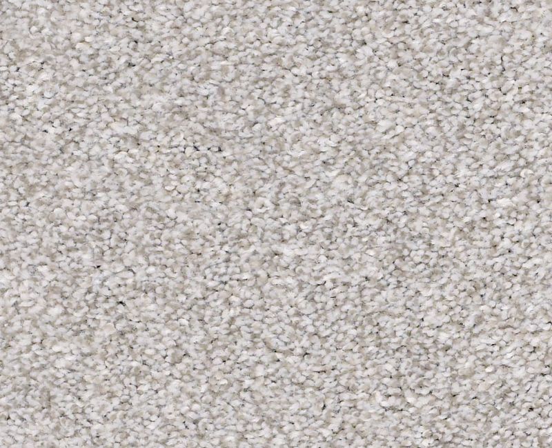MAKE IT MINE I Shaw carpet style 5E255 available through Carpet Tech. Of Virginia