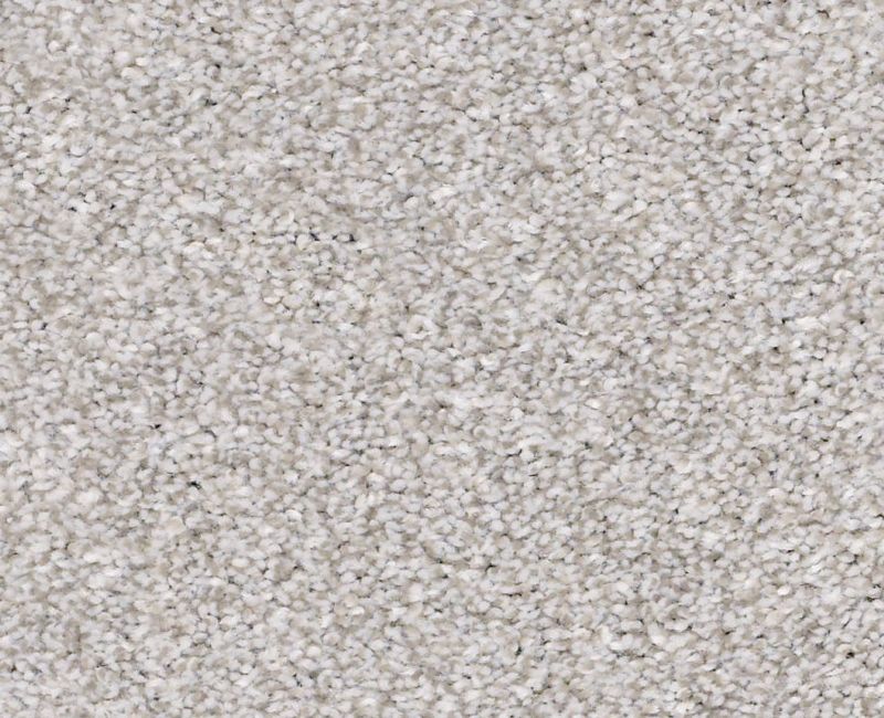MAKE IT MINE II Shaw carpet style 5E256 available through Carpet Tech. Of Virginia