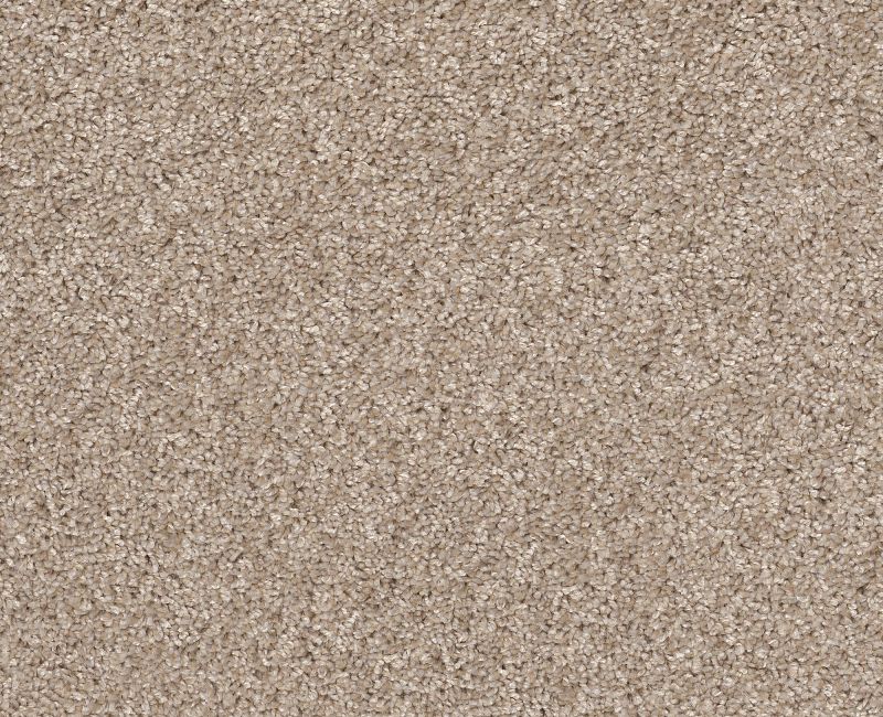 AFTER IT I Shaw carpet style 5E257 available through Carpet Tech. Of Virginia