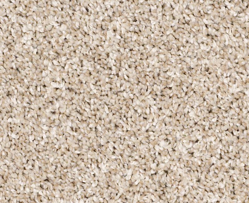 AFTER IT II Shaw carpet style 5E258 available through Carpet Tech. Of Virginia