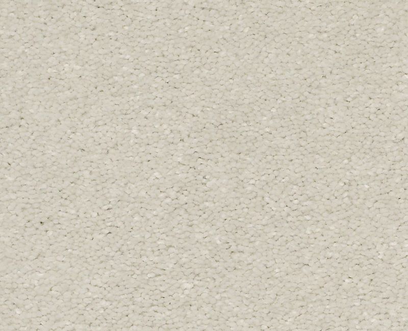 SOLIDIFY I 15' Shaw carpet style 5E263 available through Carpet Tech. Of Virginia