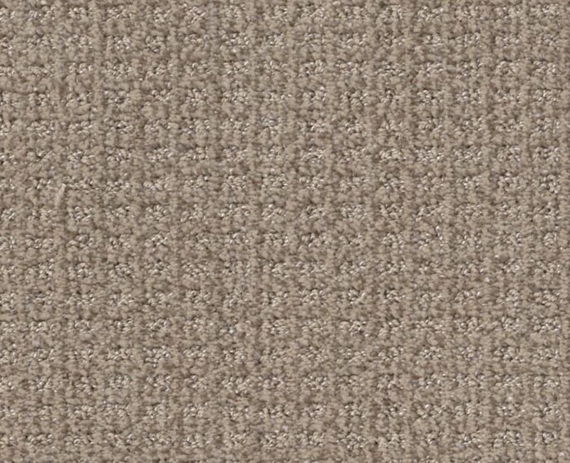 STAY FIT Shaw carpet style 5E320 available through Carpet Tech. Of Virginia