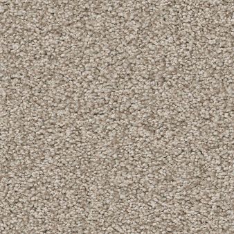 HARMONIOUS II color sample FOSSIL PAT.. 00108