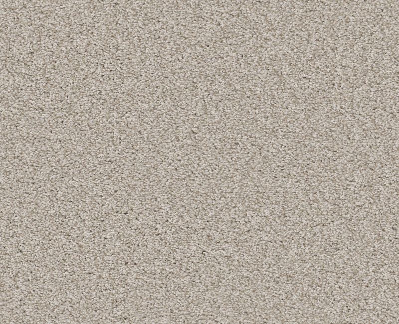 HARMONIOUS I Shaw carpet style 5E438 available through Carpet Tech. Of Virginia