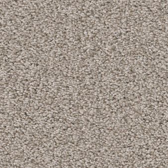 HARMONIOUS I color sample FOSSIL PAT.. 00108
