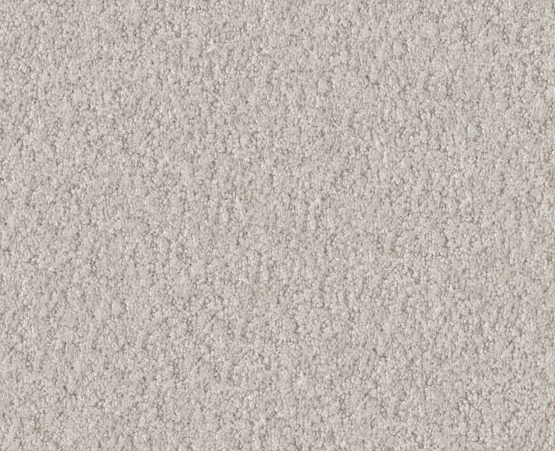 ALLURING CANVAS Shaw carpet style 5E445 available through Carpet Tech. Of Virginia