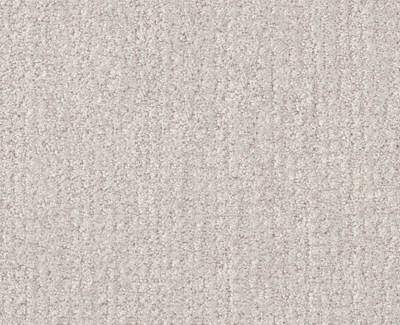 FINE TAPESTRY Shaw carpet style 5E446 available through Carpet Tech. Of Virginia