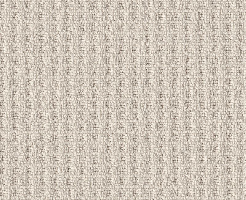 FRAMED VIEW Shaw carpet style 5E449 available through Carpet Tech. Of Virginia
