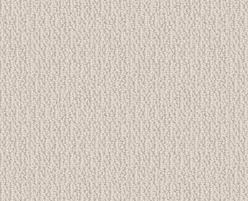 LOOP DE LOOP Shaw carpet style 5E452 available through Carpet Tech. Of Virginia
