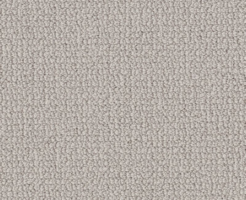 EMBELLISHED Shaw carpet style 5E458 available through Carpet Tech. Of Virginia