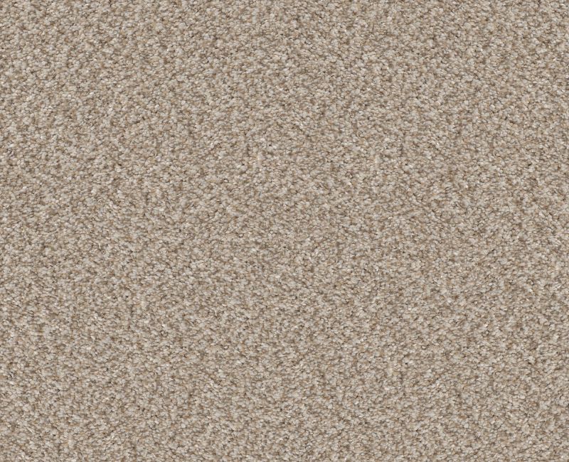 TRUSPLENDOR Shaw carpet style 5E464 available through Carpet Tech. Of Virginia