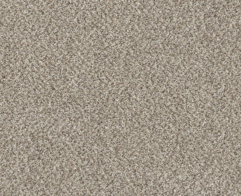 TRUSPIRIT I Shaw carpet style 5E496 available through Carpet Tech. Of Virginia