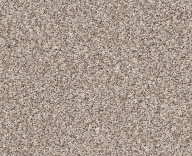 TRUSPIRIT II Shaw carpet style 5E497 available through Carpet Tech. Of Virginia
