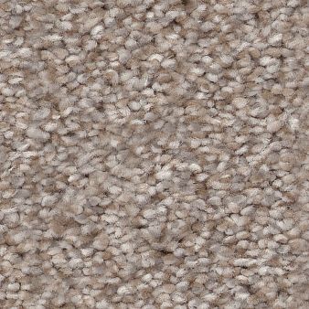 TRUSPIRIT II color sample LADY LIBER.. 00502