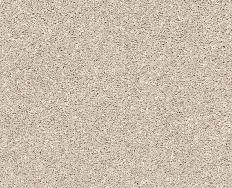 SMOOTH TALK I Shaw carpet style 5E540 available through Carpet Tech. Of Virginia