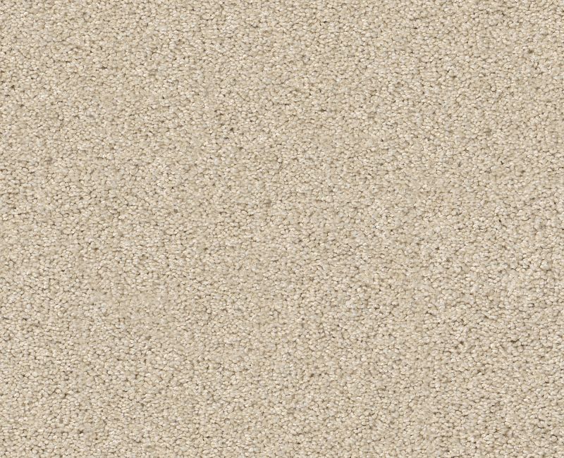 SWEET INSPIRATION I Shaw carpet style 5E544 available through Carpet Tech. Of Virginia