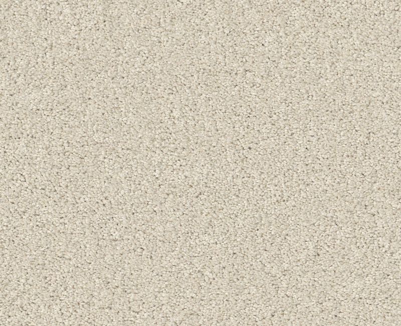 SWEET INSPIRATION II Shaw carpet style 5E545 available through Carpet Tech. Of Virginia