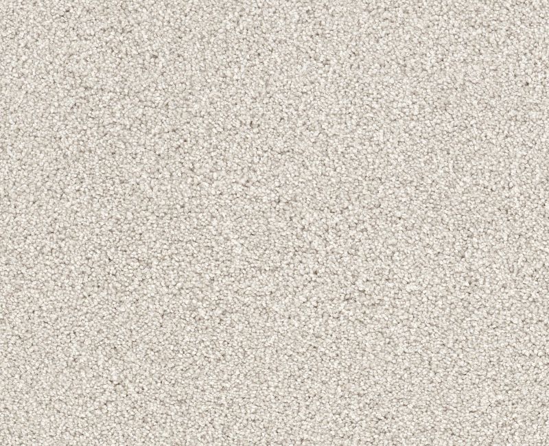 LIVE ON COMFORT Shaw carpet style 5E546 available through Carpet Tech. Of Virginia