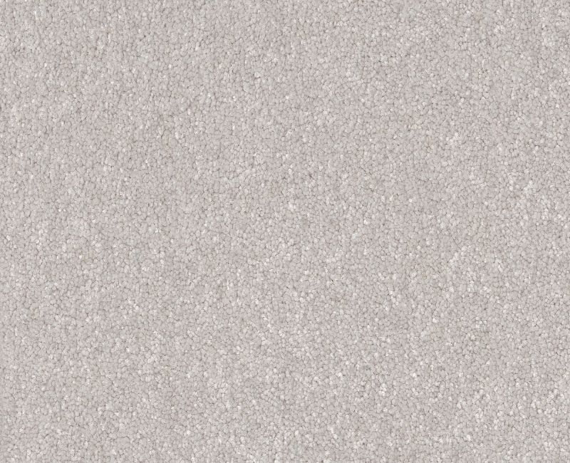 HARD AT PLAY II 12' Shaw carpet style 5E558 available through Carpet Tech. Of Virginia