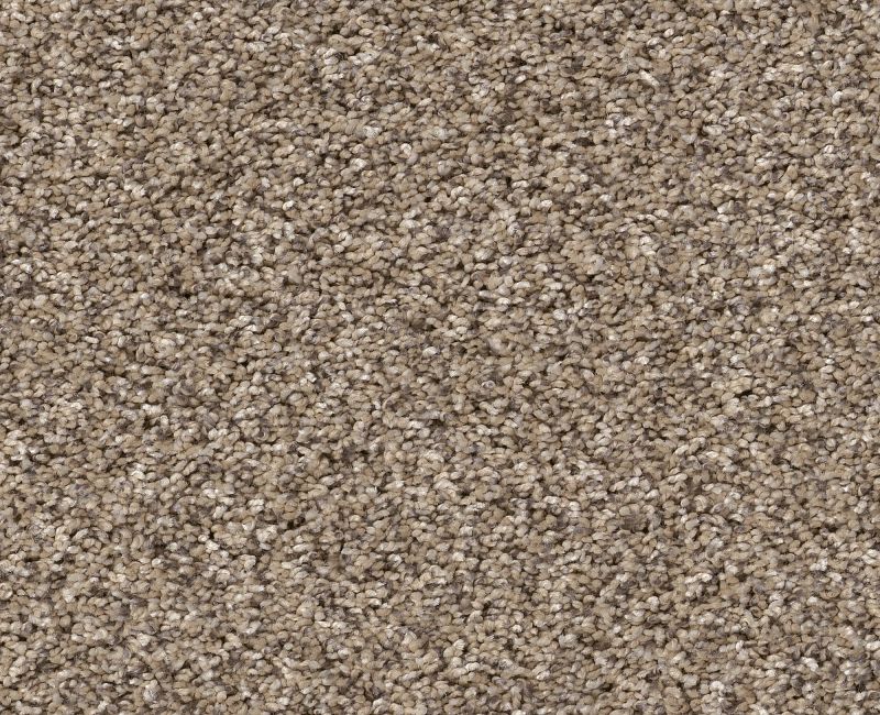 YES YOU CAN I 15' Shaw carpet style 5E571 available through Carpet Tech. Of Virginia