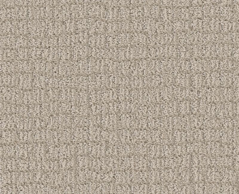 PATH HOME Shaw carpet style 5E577 available through Carpet Tech. Of Virginia