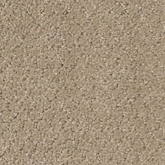 SIMPLY CLASSIC color sample SEA SHELL 00100