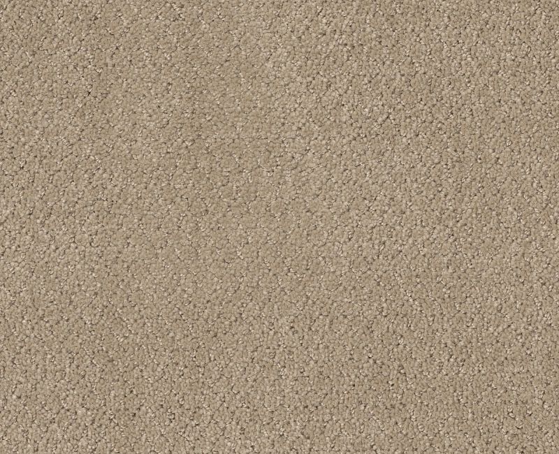 SIMPLY CLASSIC Shaw carpet style 5E578 available through Carpet Tech. Of Virginia