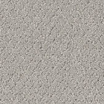 SIMPLY CLASSIC color sample FROZEN 00107