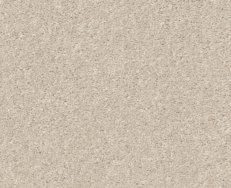 SMOOTH TALK II Shaw carpet style 5E579 available through Carpet Tech. Of Virginia