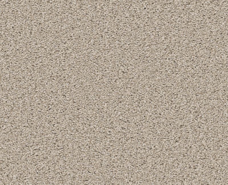 TRUSOLUTIONS II Shaw carpet style 5E648 available through Carpet Tech. Of Virginia