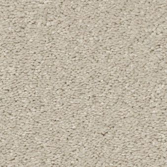 WELL MADE color sample CREAMY 00101