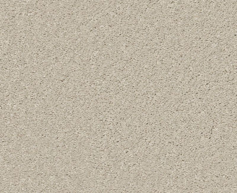 WELL MADE Shaw carpet style 5E667 available through Carpet Tech. Of Virginia