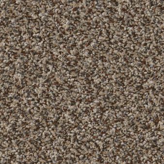 RENEWED ENERGY I color sample FRECKLES 00109