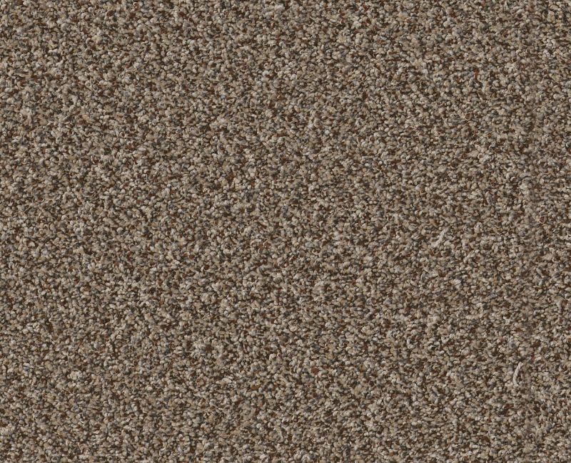RENEWED ENERGY I Shaw carpet style 5E671 available through Carpet Tech. Of Virginia
