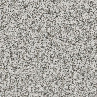 RENEWED ENERGY I color sample SNOW BOUND 00117