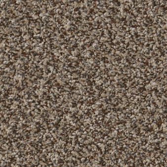 RENEWED ENERGY II color sample FRECKLES 00109