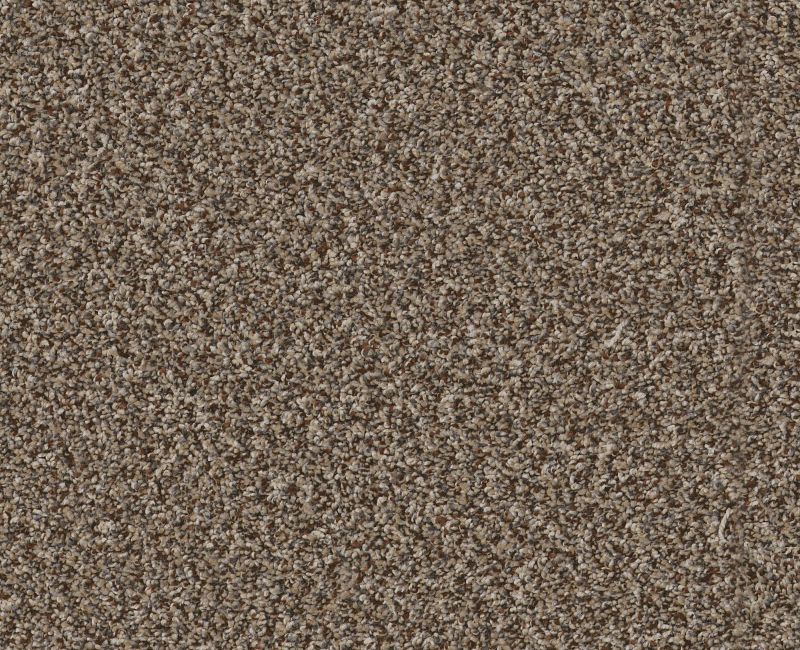 RENEWED ENERGY II Shaw carpet style 5E672 available through Carpet Tech. Of Virginia