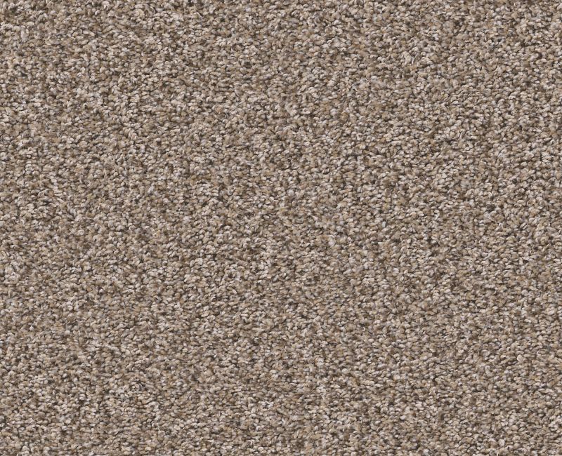 REMIXED CLASSIC Shaw carpet style 5E679 available through Carpet Tech. Of Virginia