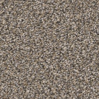 REMIXED CLASSIC color sample NUTRIA 00102